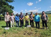 Peringati Hari Lingkungan Hidup Indonesia, PMII Kabupaten Gorontalo Lakukan Penanaman dan Pembagian Bibit Pohon di Kawasan Danau Limboto