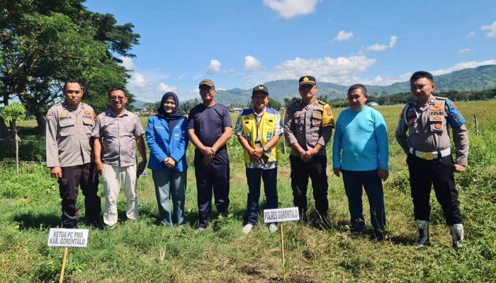 Peringati Hari Lingkungan Hidup Indonesia, PMII Kabupaten Gorontalo Lakukan Penanaman dan Pembagian Bibit Pohon di Kawasan Danau Limboto