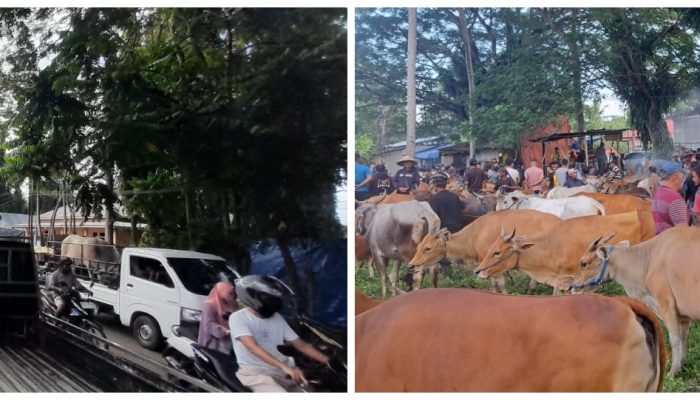 Pemerintah Kabupaten Gorontalo Ditunding Tidak Tegas Mengatur Pasar Hewan di Pulubala