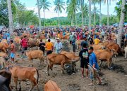 Pedagang Minta Pasar Hewan Tridharma Pulubala Dibuka Dua Kali Seminggu Jelang Idul Adha