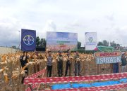 Koramil 1315-04/Tibawa Dukung Program Ketahanan Pangan Melalui Panen Raya Jagung DEKALB