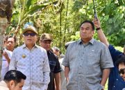 Bupati Dampingi RG Tinjau Demplot Pisang Toyidito