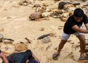 Banjir Hulawa Kembali Terjadi Saat PETI Ditertibkan, Pemuda Buntulia Sentil Perusahaan: Ini Bukti Kerusakan Lingkungan!