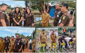 Jejak Langkah di Pematang Sawah, Kejari Bangka Tengah Tegaskan Komitmen Ketahanan Pangan