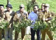 Kacang Tanah ‘Tilihuwa’ Siap Go Nasional