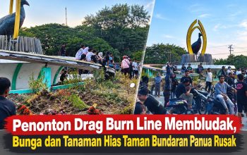 Penonton Drag Burn Line Membludak, Bunga dan Tanaman Hias Taman Bundaran Panua Rusak
