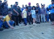 Bupati, Wabup, Danlanal bersama Saka Bahari Lepas Penyu di Pesisir Pantai Dulanga